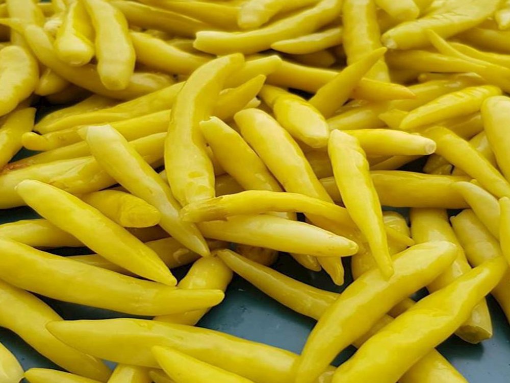 Acı Biber Turşusu (250 gr)