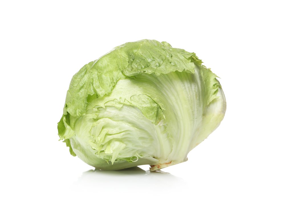 Iceberg Marul (Tüm Göbek)